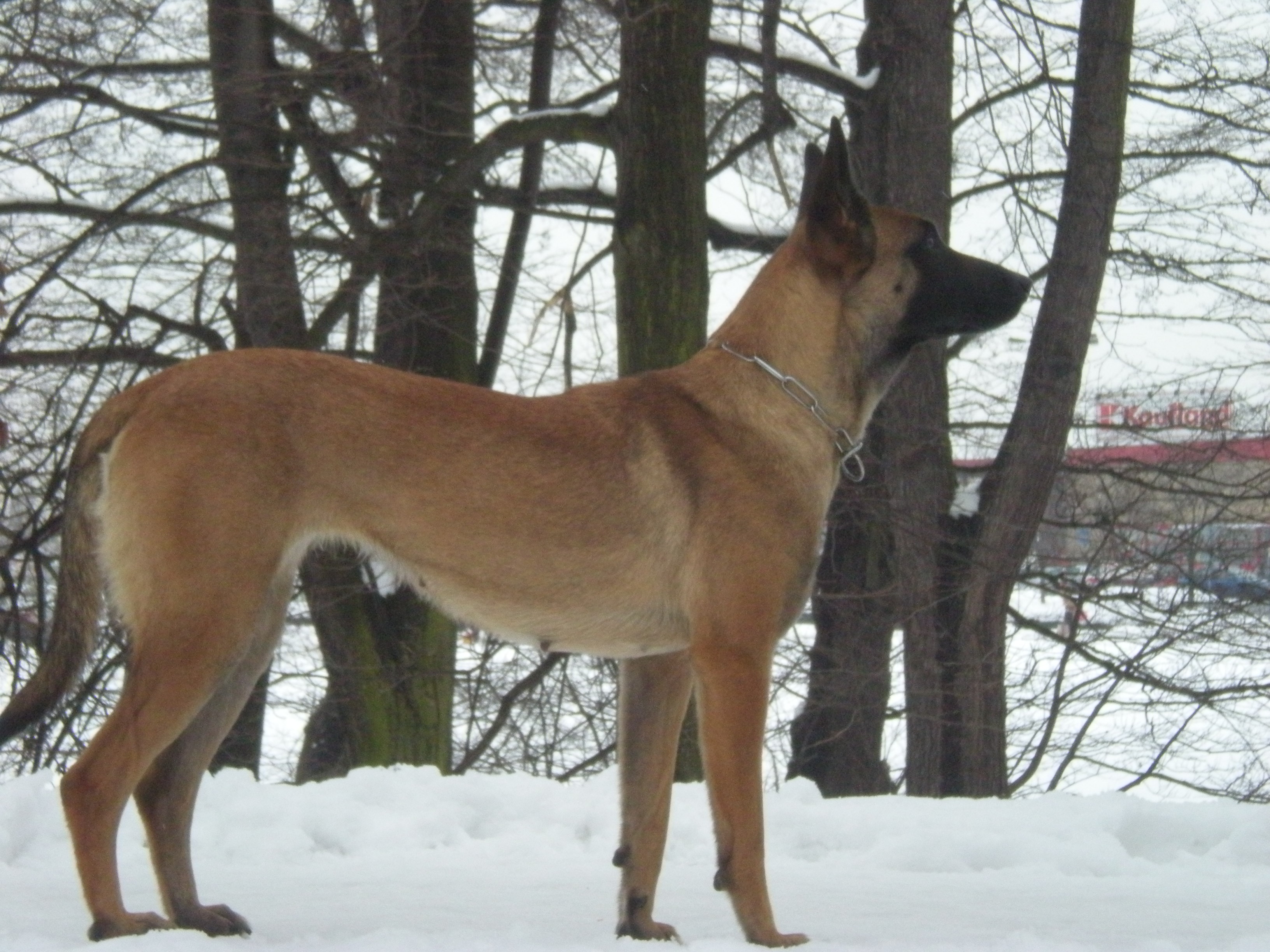 DSCN1247.JPG