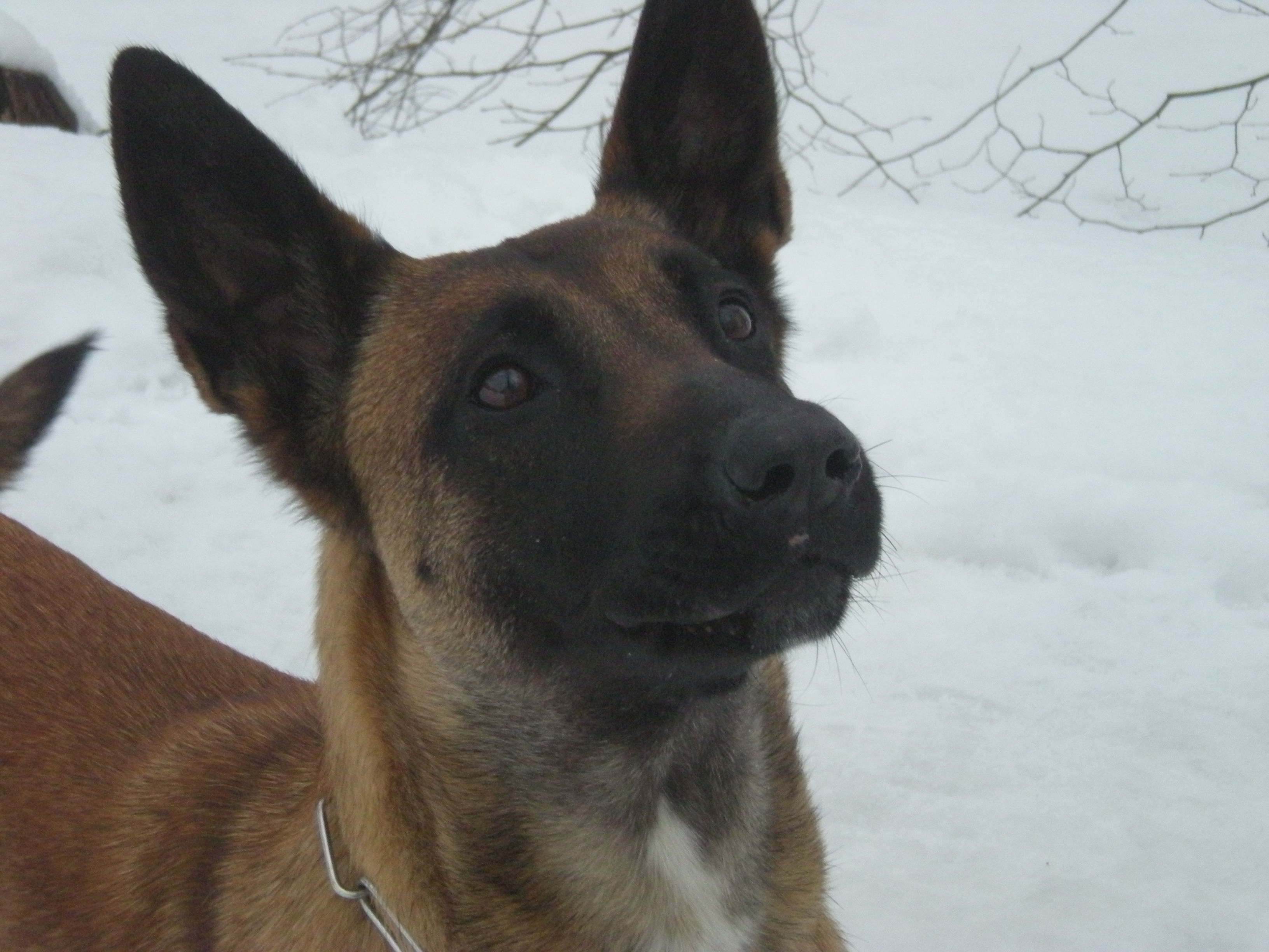 DSCN1255.JPG