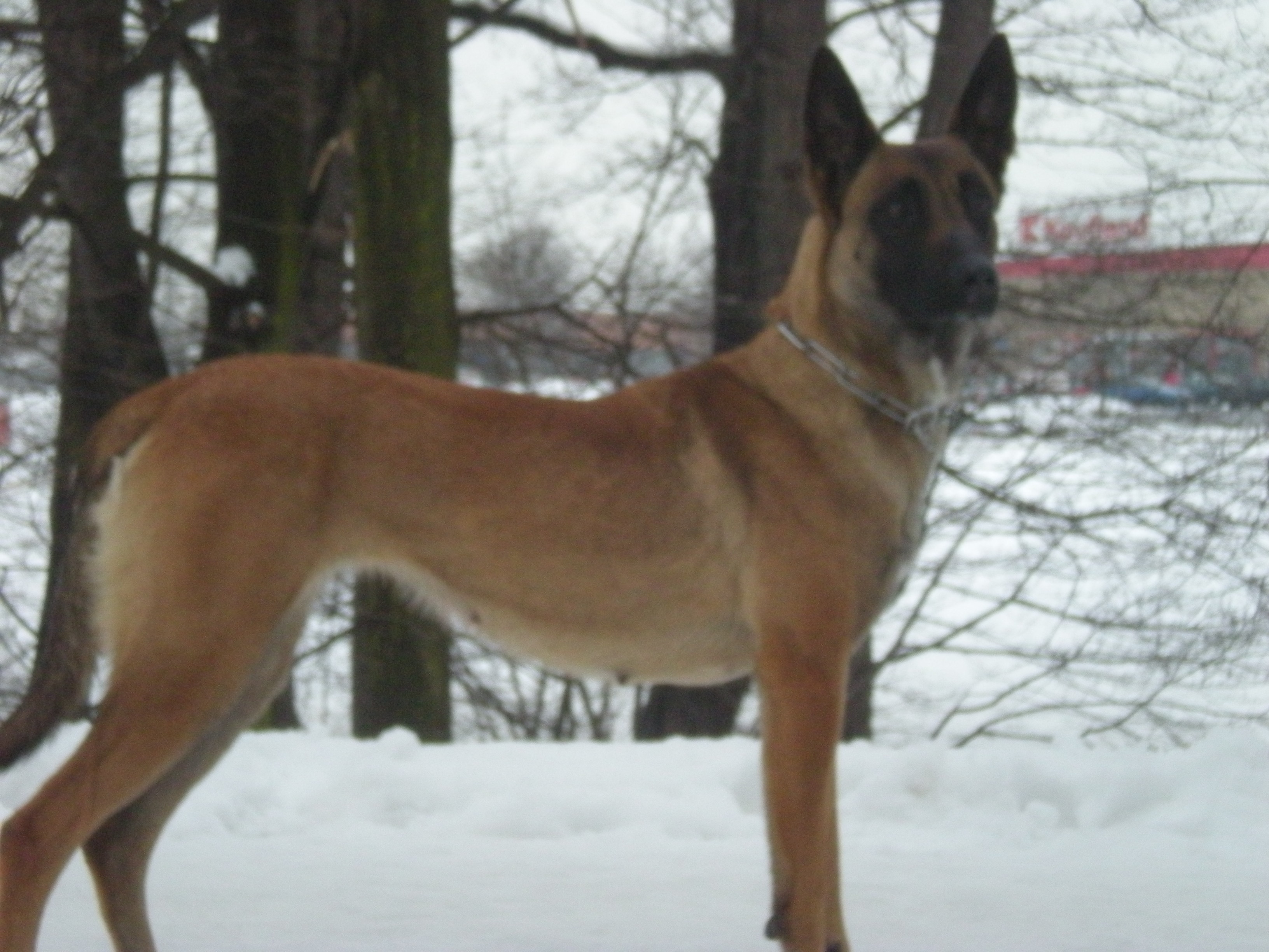 DSCN1252.JPG