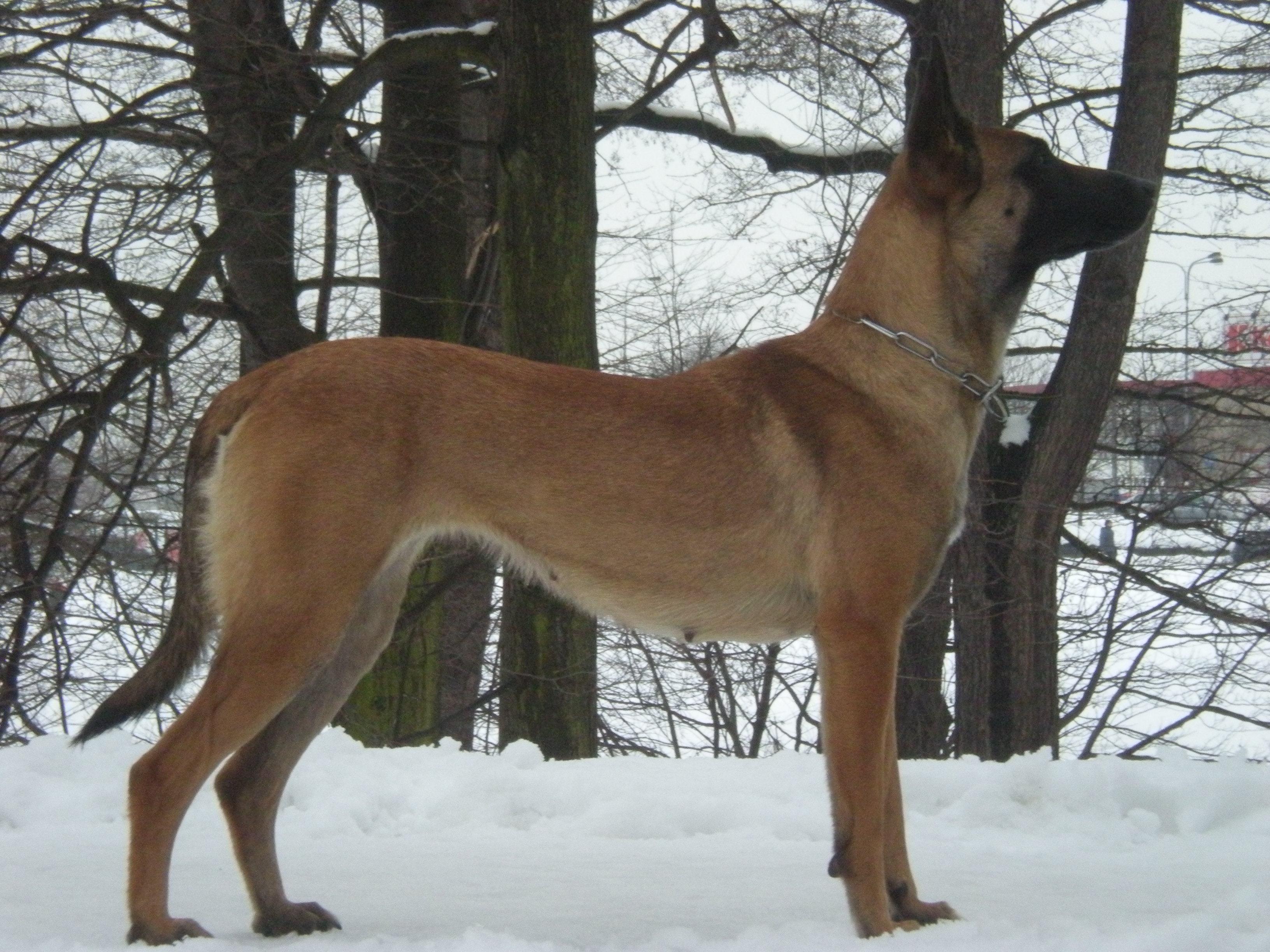 DSCN1250.JPG