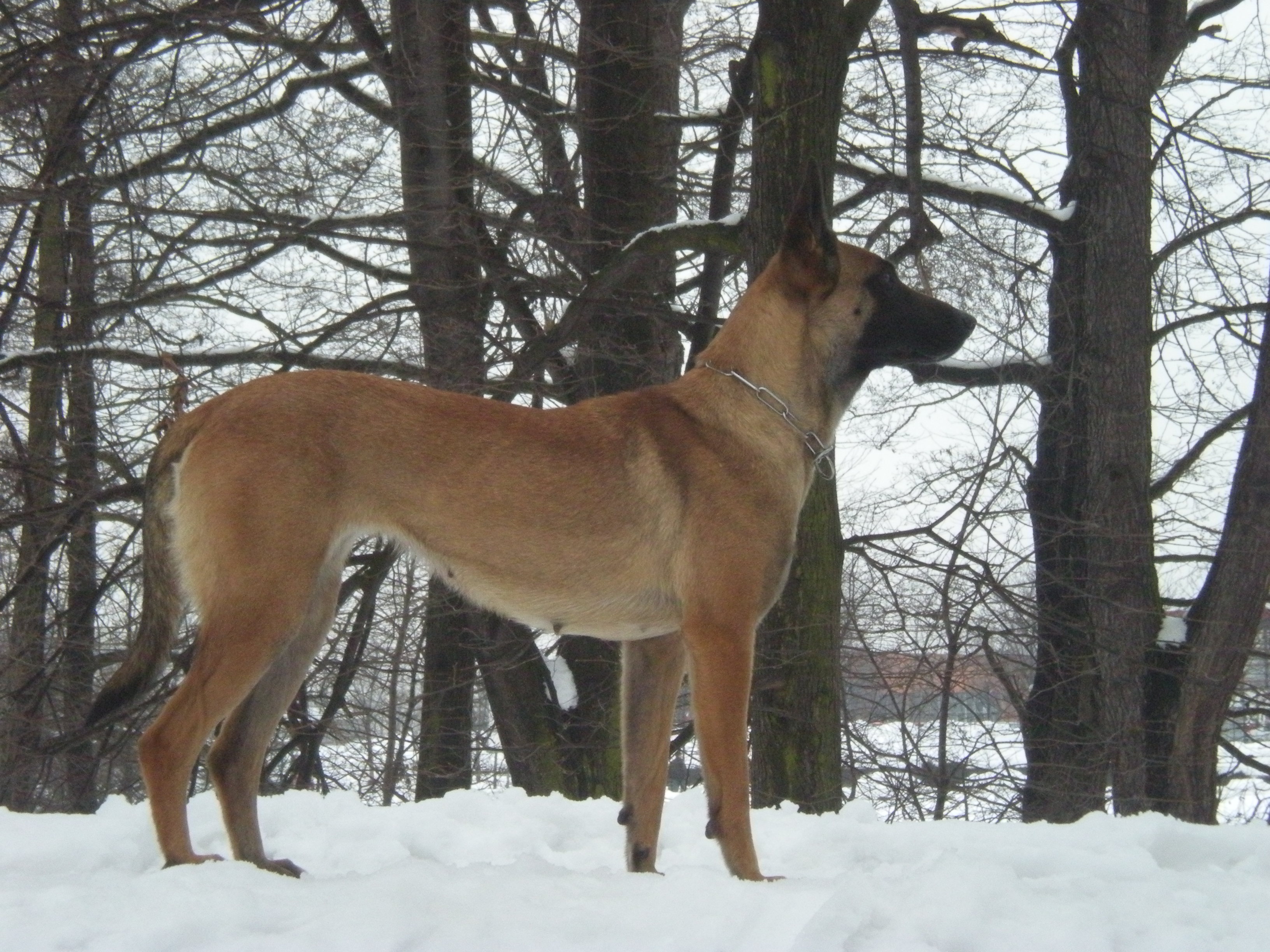 DSCN1246.JPG