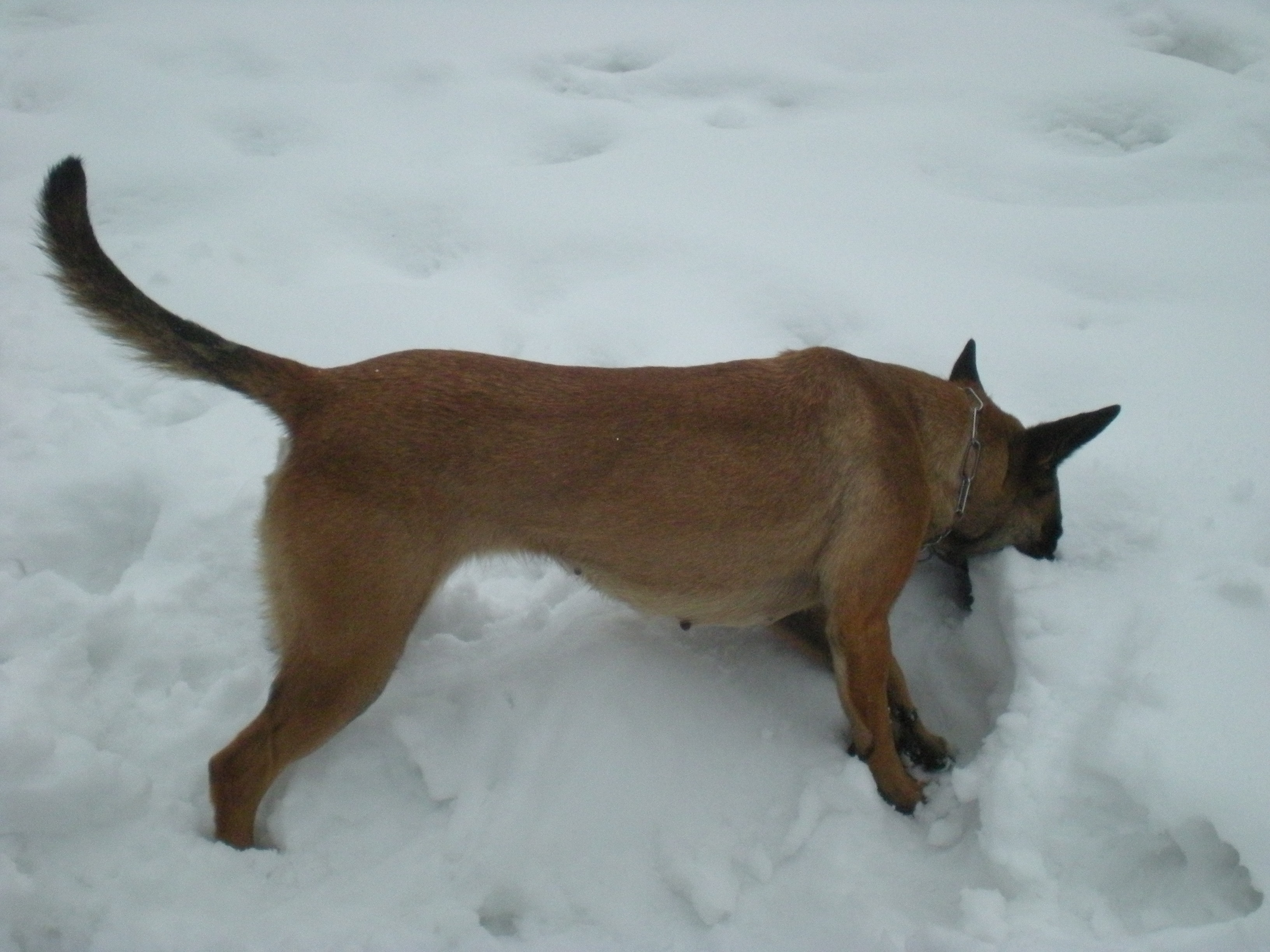 DSCN1241.JPG