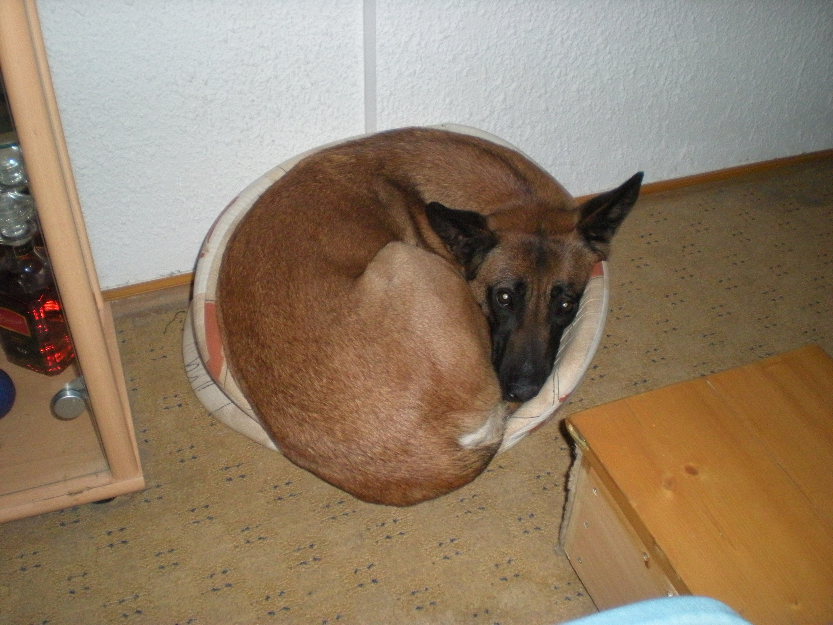 DSCN1198.JPG