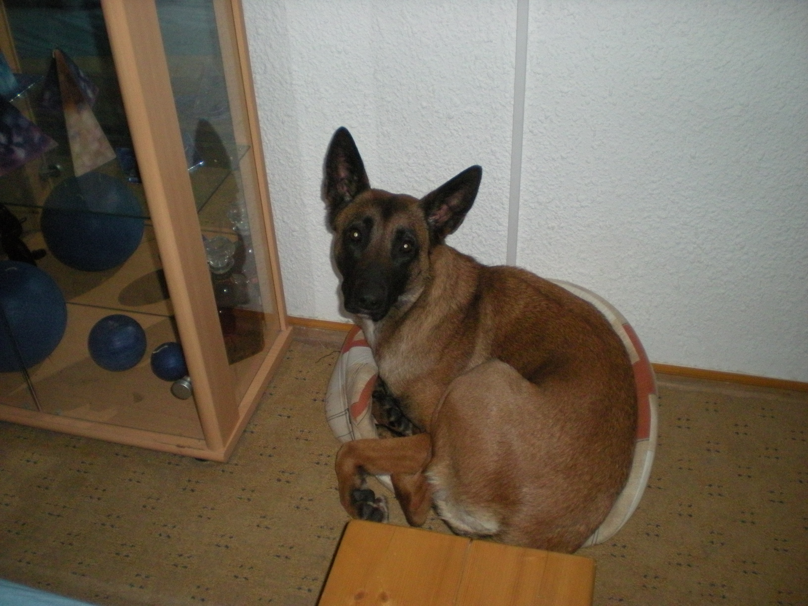 DSCN1199.JPG