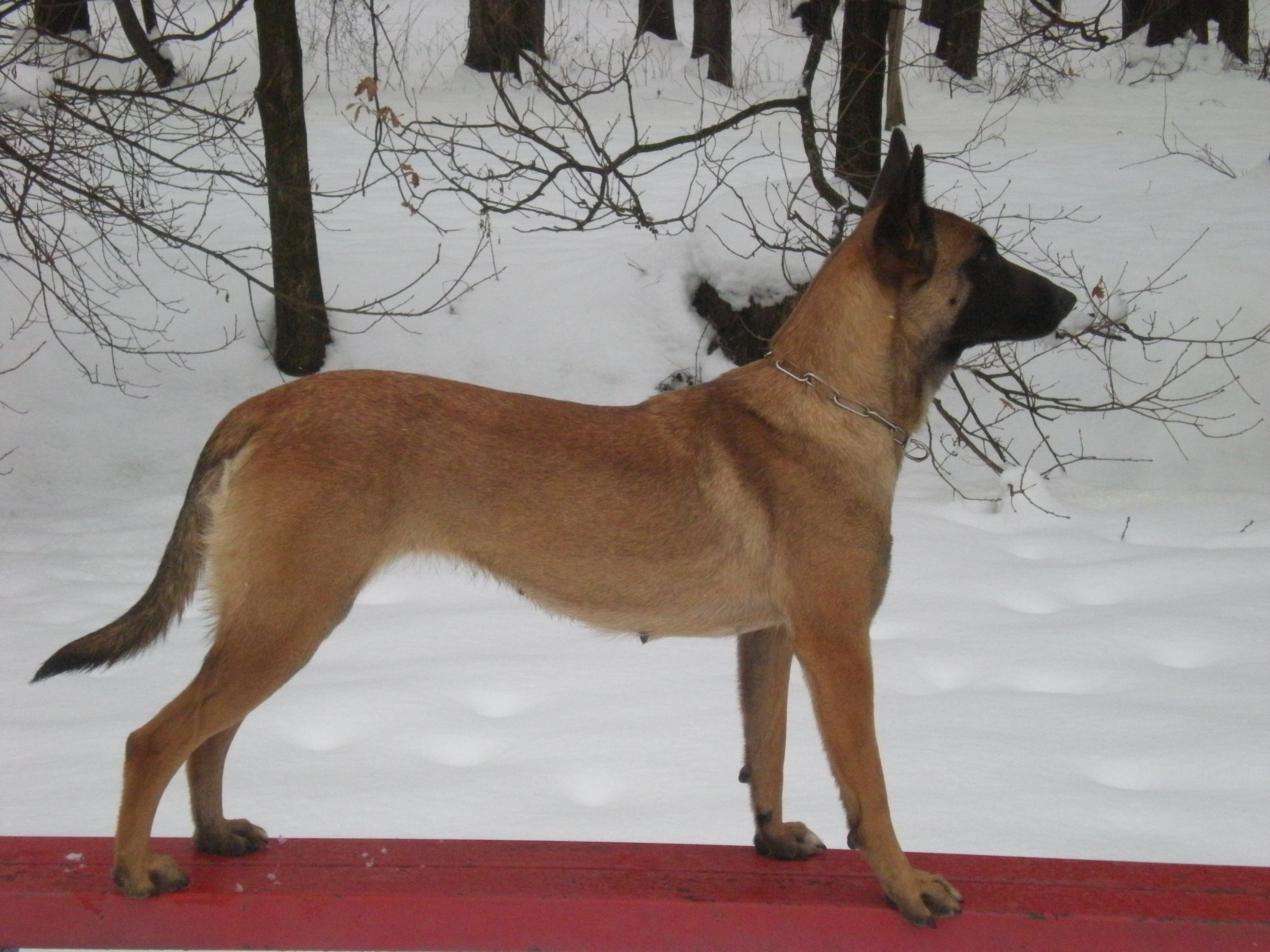 DSCN1236.JPG
