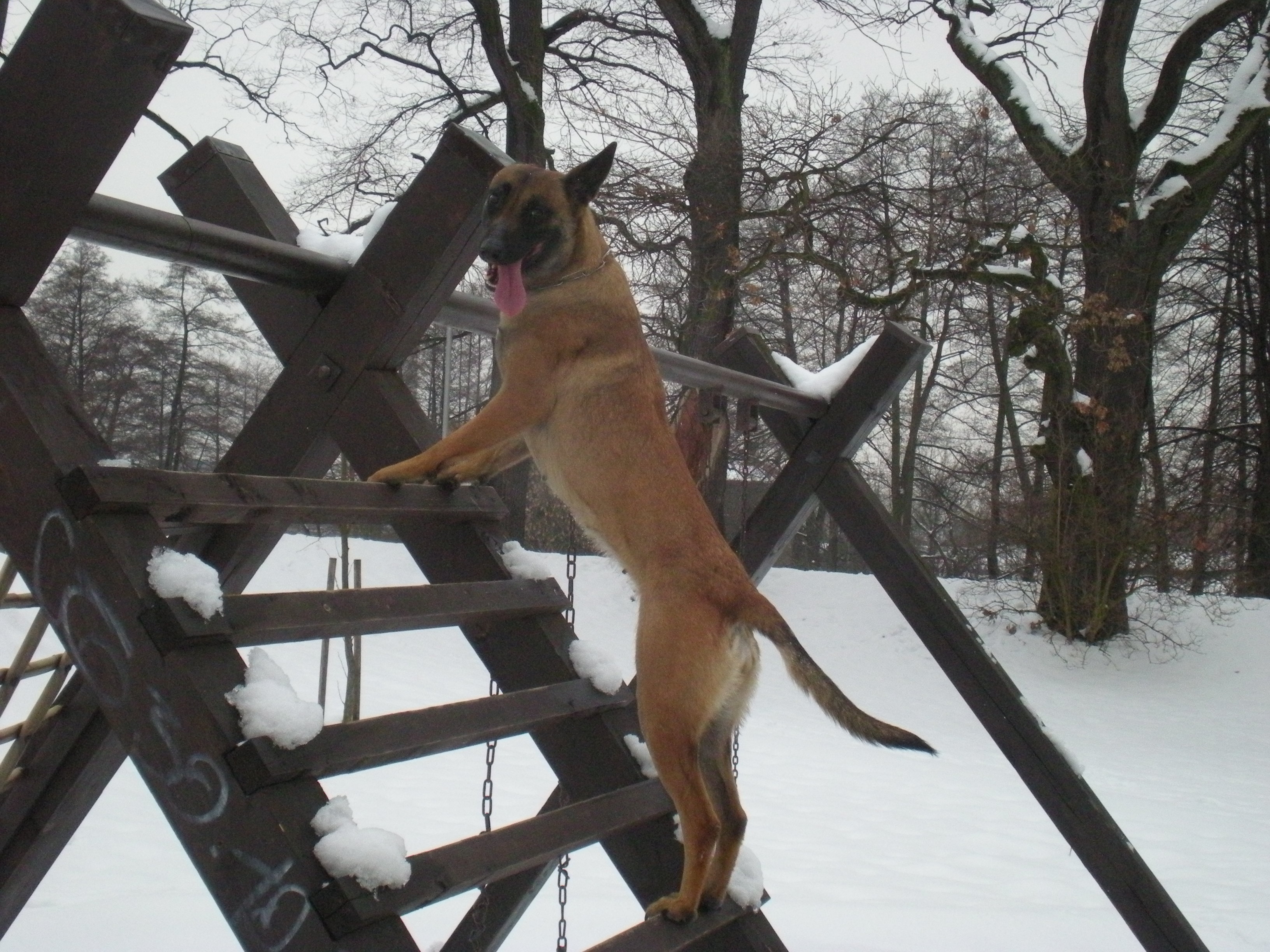 DSCN1218.JPG
