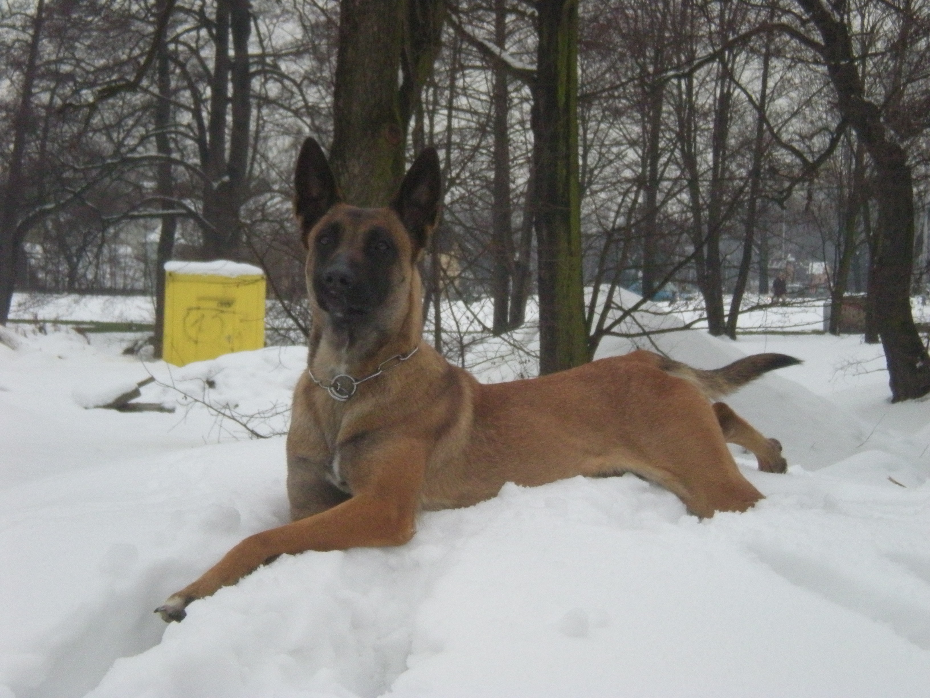 DSCN1211.JPG