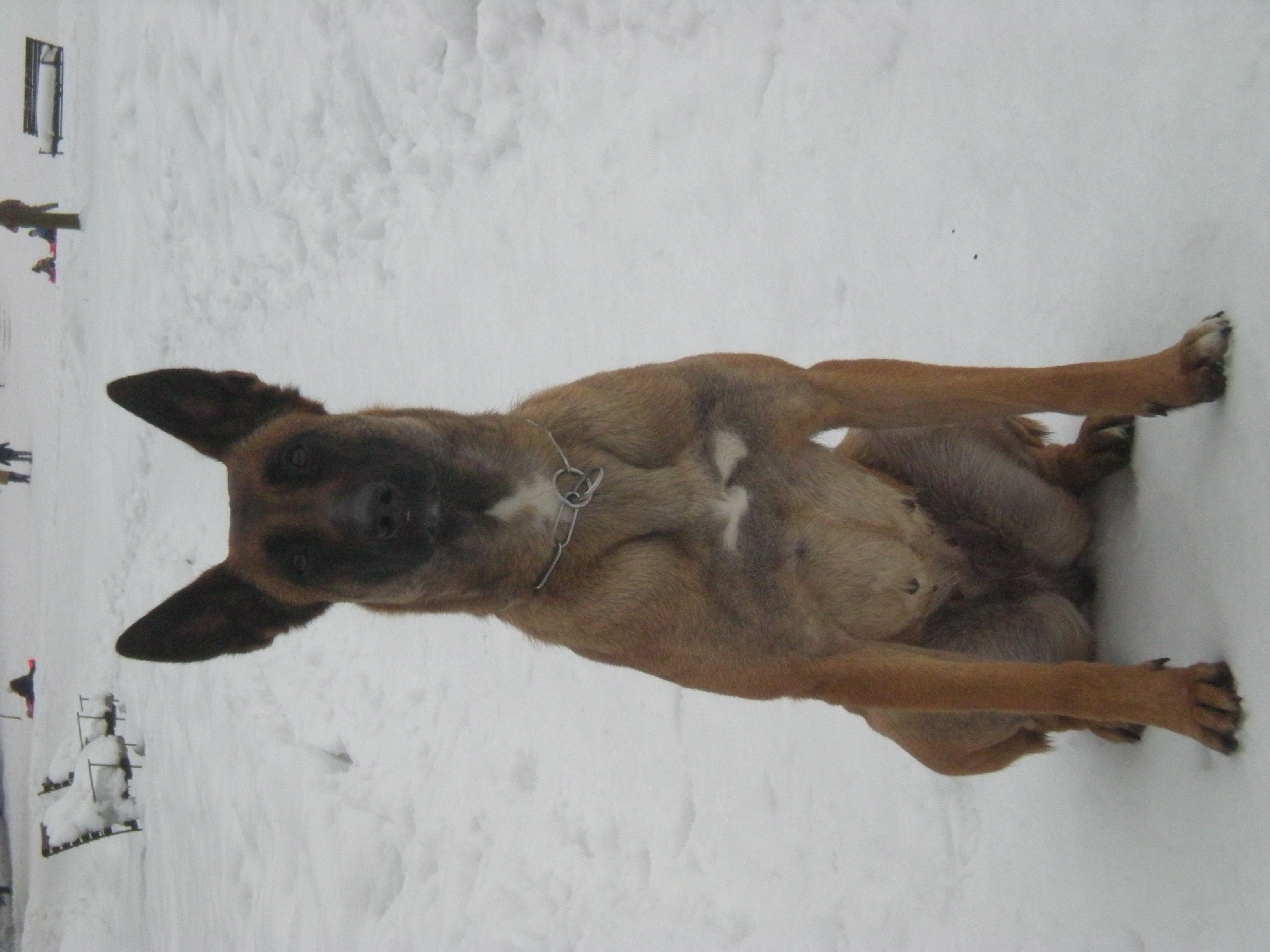 DSCN1222.JPG