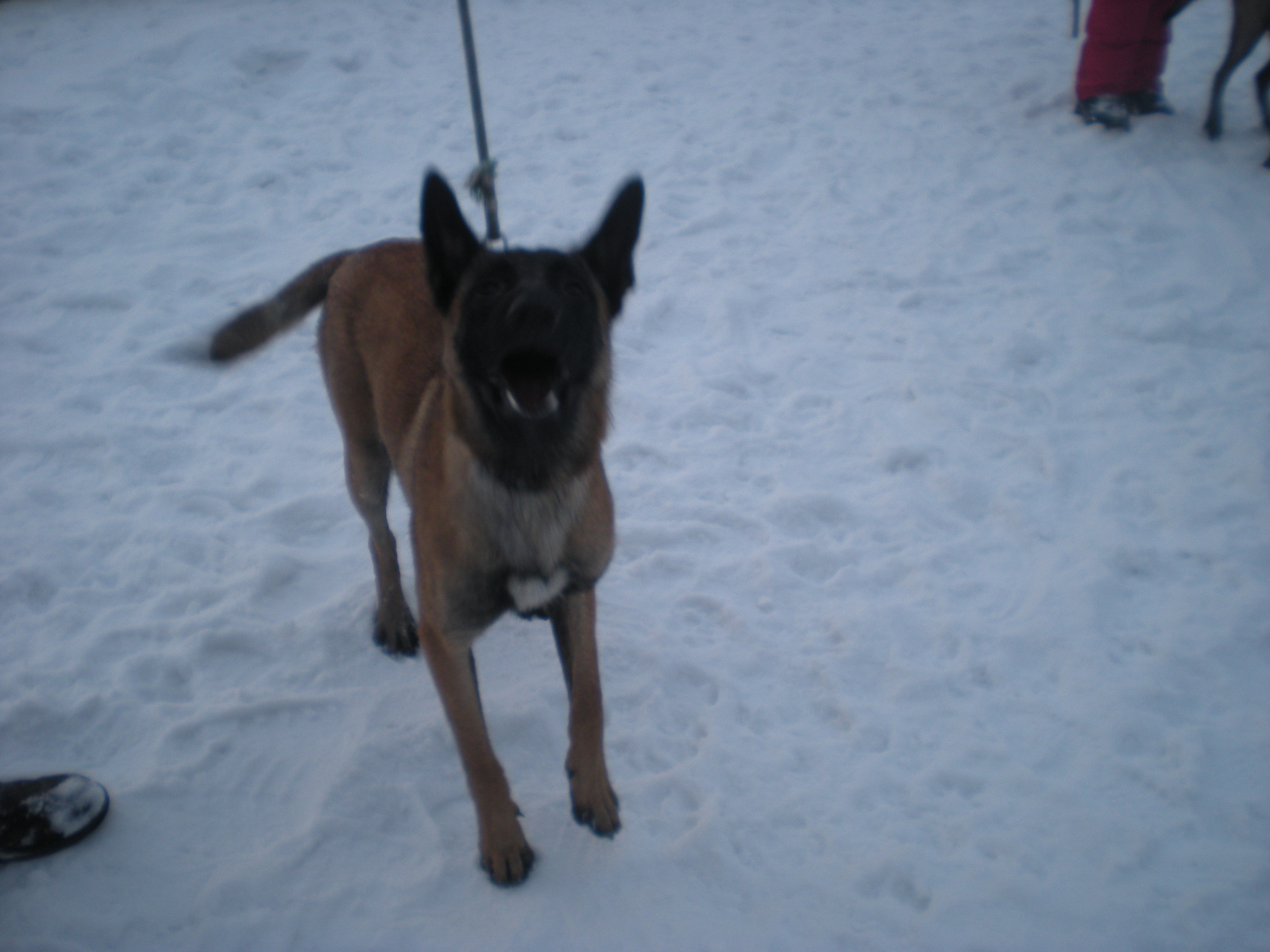 DSCN8930.JPG